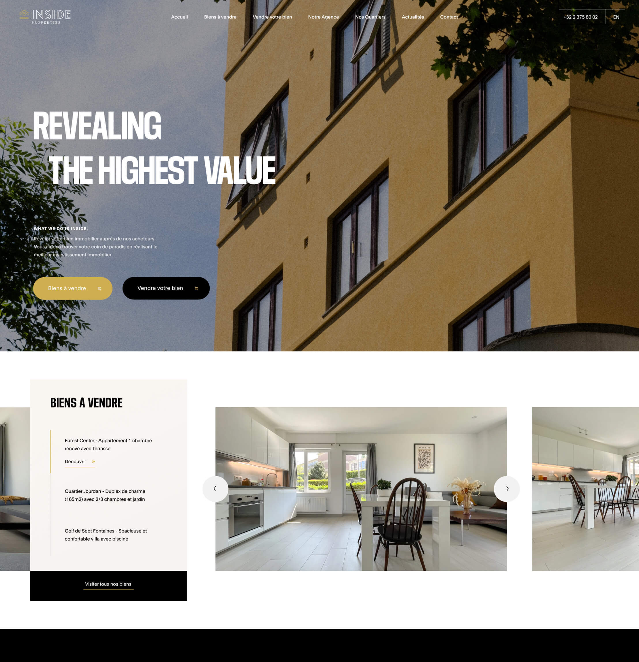 website preview