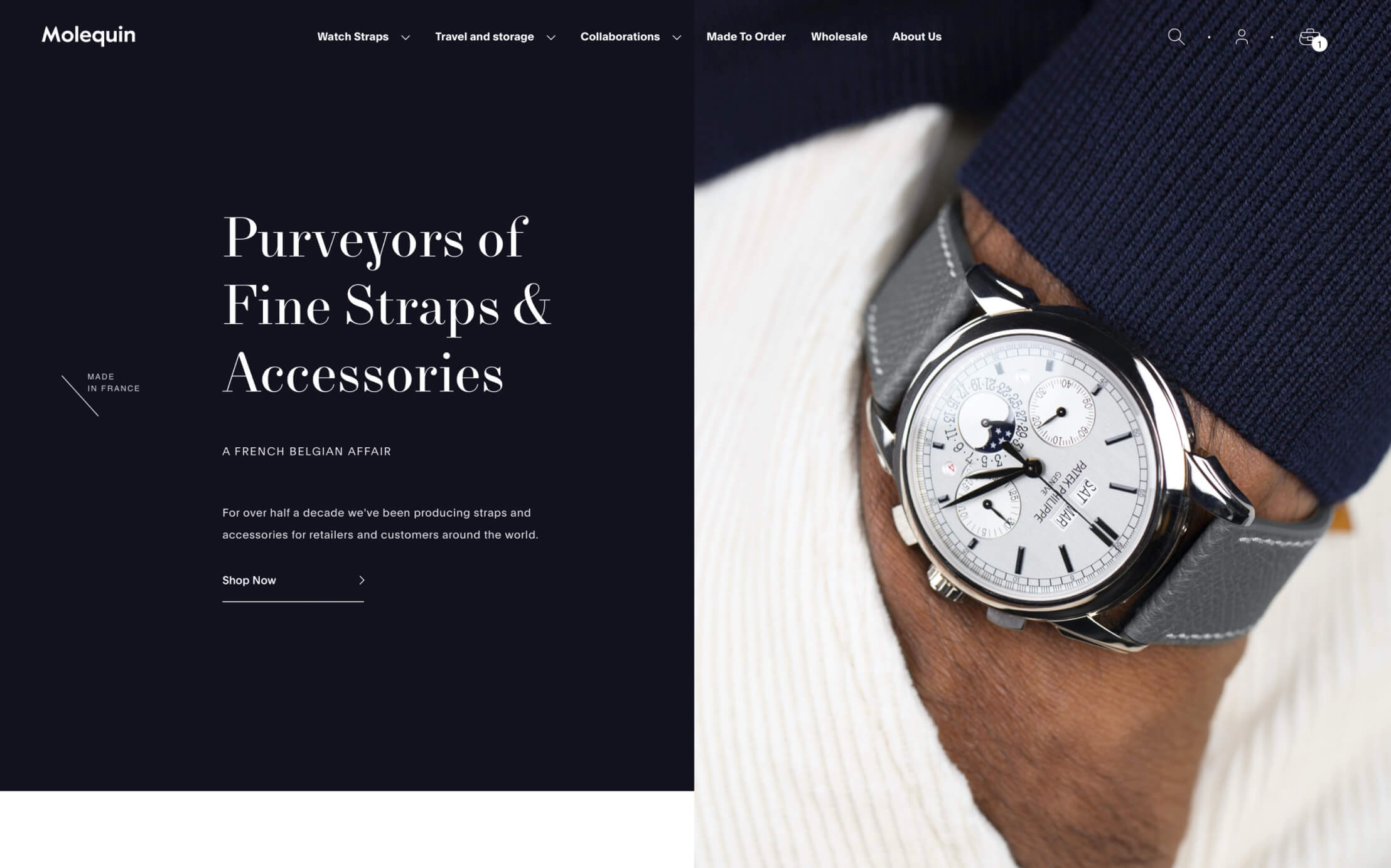 website preview