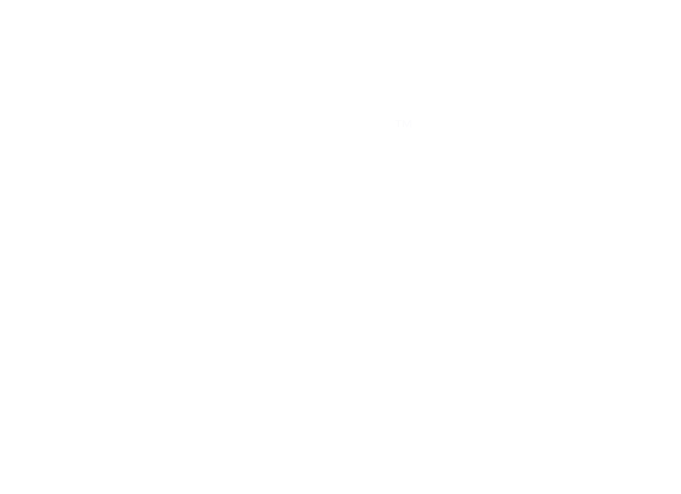 strategy